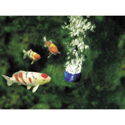 AquaOxy 500
