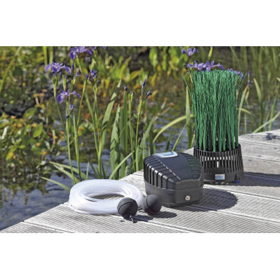 OxyTex Set 500