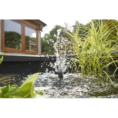 Outdoor Aquarium - Terrassenteich